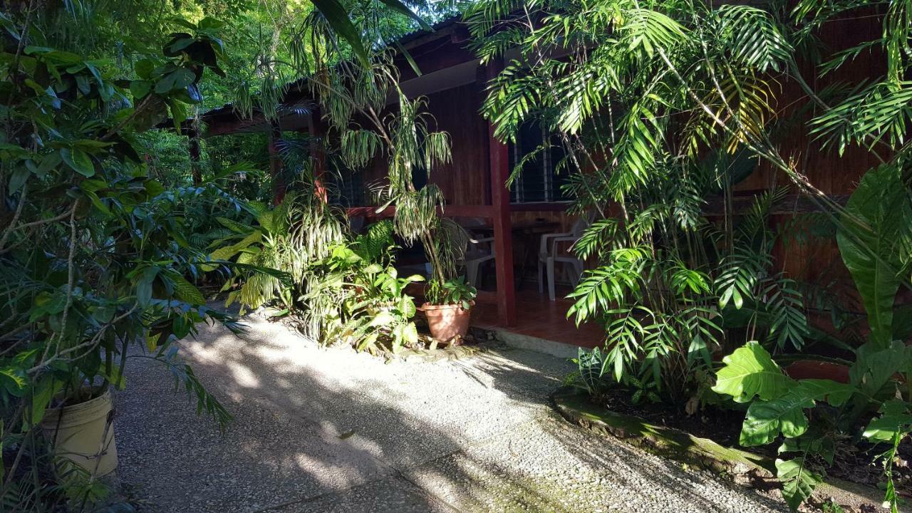 Guest House Posada Ixchel El Remate Esterno foto